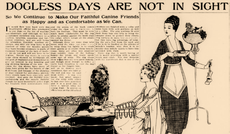 Newspaper article - Dogless Days are Not in Sight