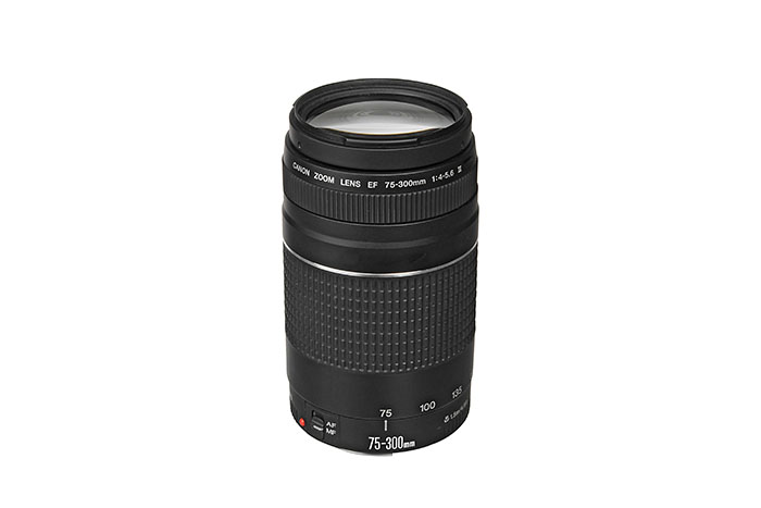 Canon EF 75-300mm f/4.0-5.6 Zoom Lens