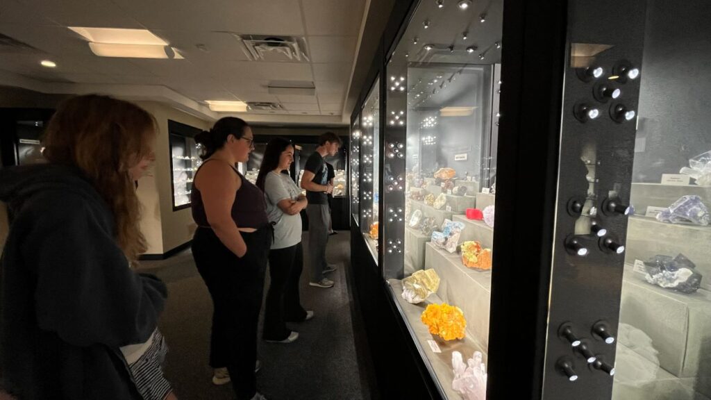 Students looking at cases of minerals in the Mineralogical Museum