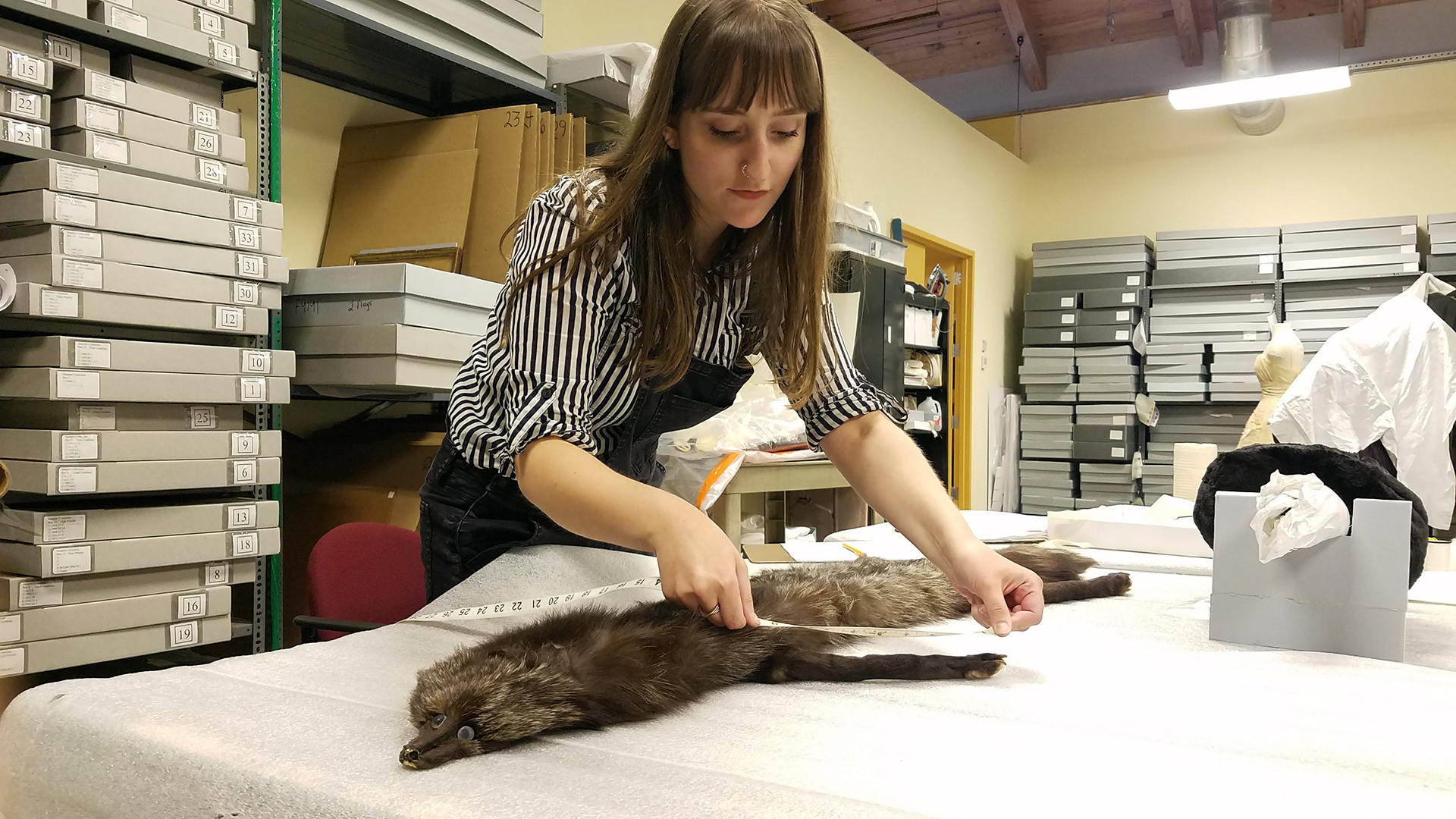 Image of Vivien Barnett working at the Maryland Historical Society