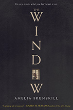 Book cover for The Window