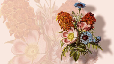 A bouquet of various flowers.