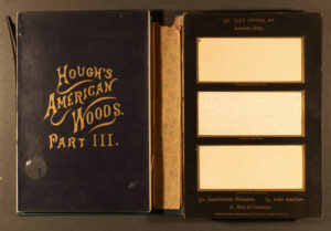 The interior casing of The American Woods and an unbound plate of thinly sliced tree specimens.