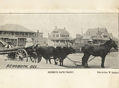 A black-and-white postcard showing the use of bulls and horses for transportation.