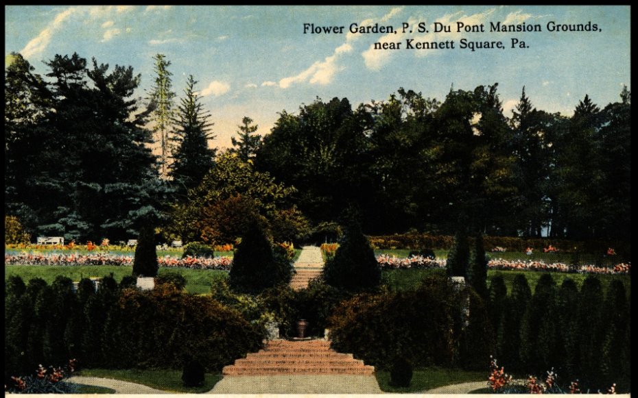 A postcard showing a flower garden