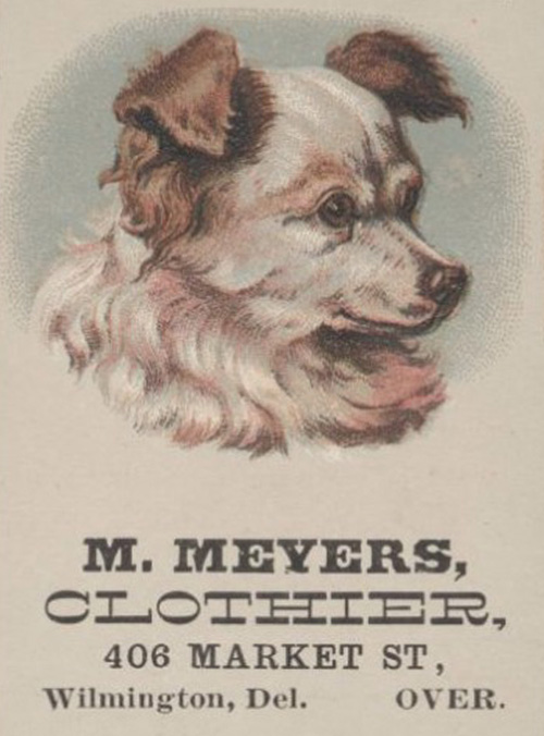 Color illustration of a portrait of a dog. Textual business information.