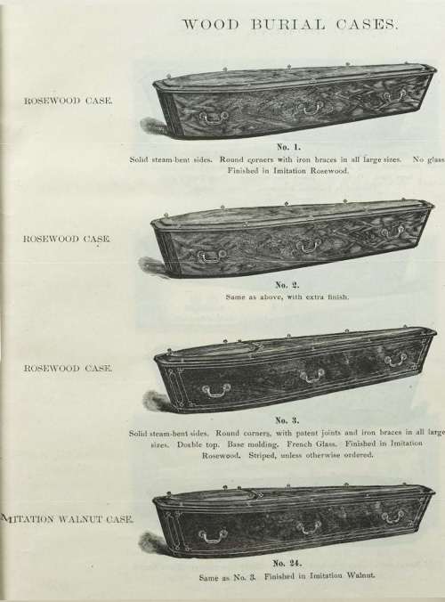 Ninth Annual Illustrated Catalog, 1880, page 3