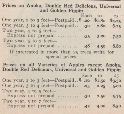 A vintage catalog price table for young apple trees categorized by variety, age, height, shipping method, and quantity.