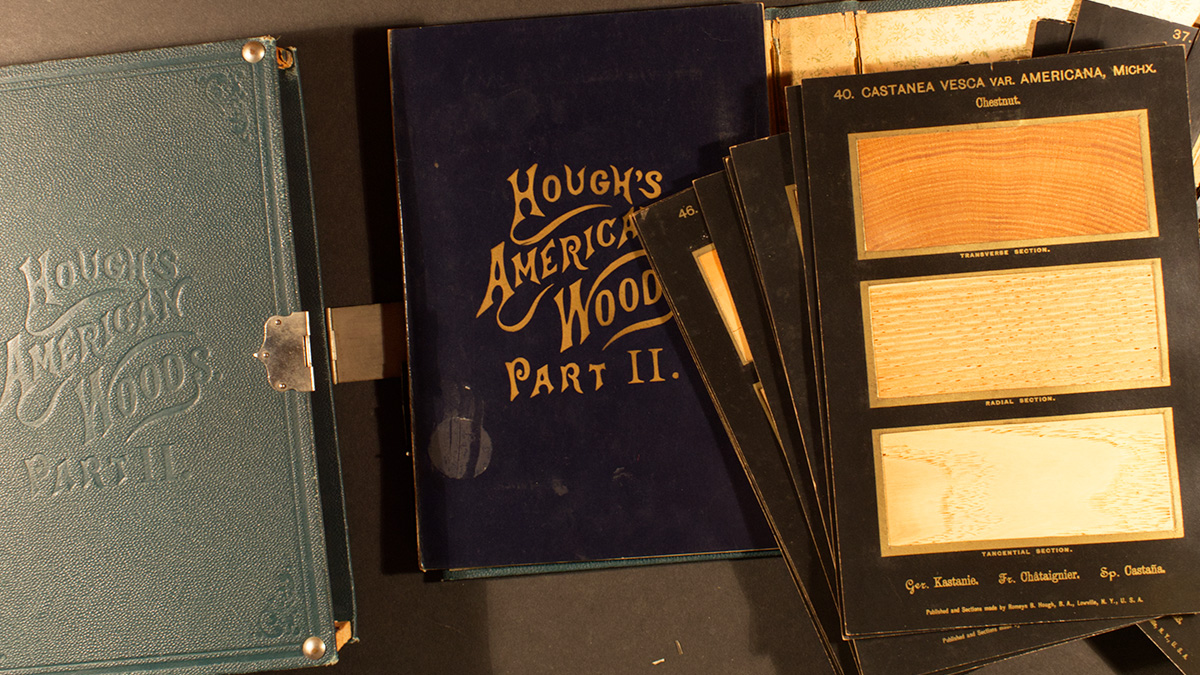 A book's outer casing, an inside title cover, and unbound plates with thin slices of tree specimens.