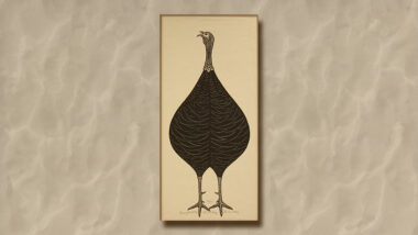 A linocut of a turkey