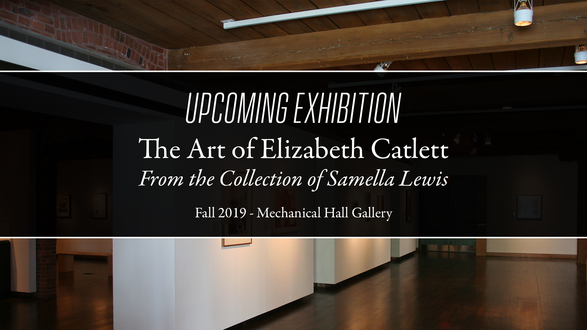 The Art of Elizabeth Catlett - From the Collection of Samella Lewis The Art of Elizabeth Catlett - From the Collection of Samella Lewis