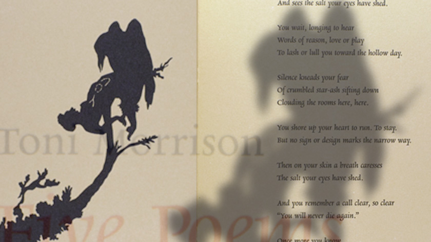 An open bookspread, showing a silhouette of a vulture and a human in a tree with a poem on the facing page. The shadowed image is overlaid on the graphic.