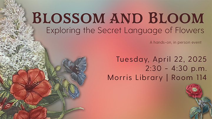 Blossom and Bloom