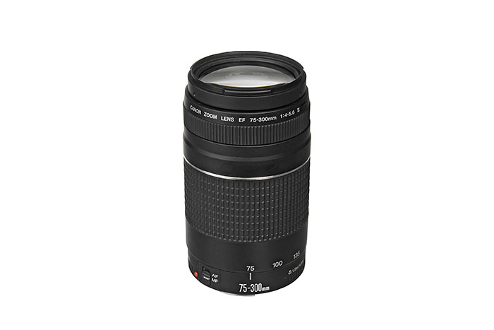 Zoom Lens Kit, Canon EF 75-300mm