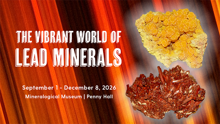 Fall 2026 Museum Exhibitions